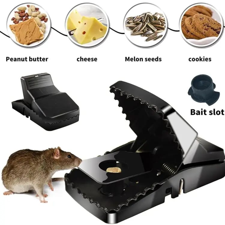 Heavy-Duty Black Mouse Trap By KitchenGo 🐭💥